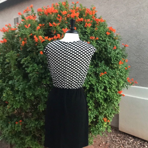 Corey P Draped Fitted Waist Dress Size Medium - Picture 4 of 8